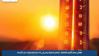 طقس مصر الأيام المقبلة.. ارتفاع الحرارة يصل إلى 43 درجة وتحذيرات من الأرصاد