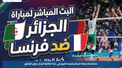 مشاهدة مباراة الجزائر وفرنسا اليوم في كرة الطائرة للرجال بدون تقطيع
