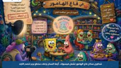 شكاوى سكان قاع الهامور تشعل فيسبوك.. أزمة السكن وغلاء سلطع برجر تتصدر الترند