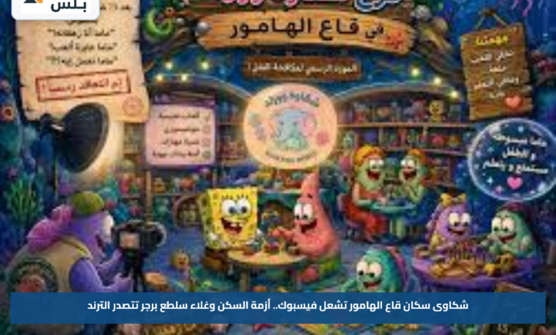 شكاوى سكان قاع الهامور تشعل فيسبوك.. أزمة السكن وغلاء سلطع برجر تتصدر الترند