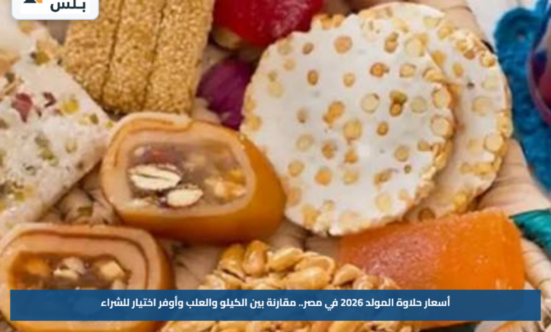أسعار حلاوة المولد 2026 في مصر.. مقارنة بين الكيلو والعلب وأوفر اختيار للشراء