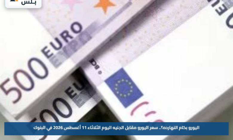 اليورو بكام النهارده؟.. سعر اليورو مقابل الجنيه اليوم الثلاثاء 11 أغسطس 2026 في البنوك