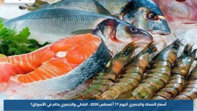 أسعار السمك والجمبري اليوم 17 أغسطس 2026.. البلطي والجمبري بكام في الأسواق؟