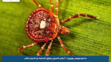 ما هو فيروس بوربون؟.. أعراض العدوى وطرق الحماية من المرض النادر