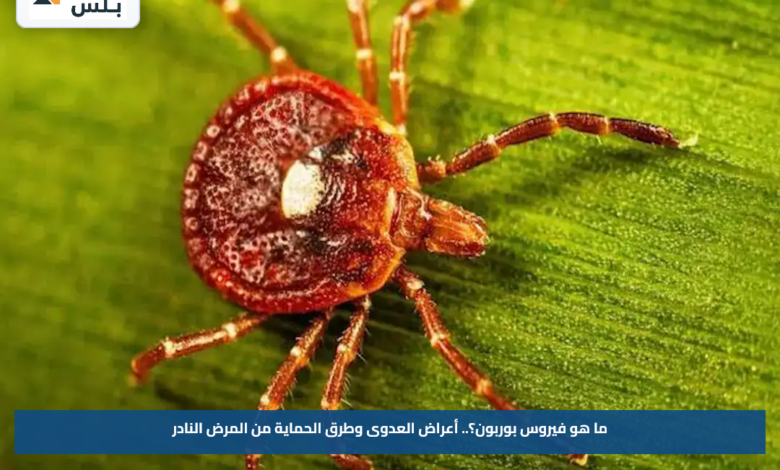 ما هو فيروس بوربون؟.. أعراض العدوى وطرق الحماية من المرض النادر