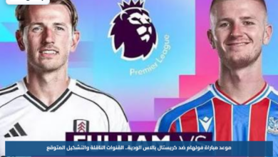 موعد مباراة فولهام ضد كريستال بالاس الودية.. القنوات الناقلة والتشكيل المتوقع