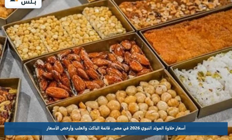 أسعار حلاوة المولد النبوي 2026 في مصر.. قائمة الباكت والعلب وأرخص الأسعار