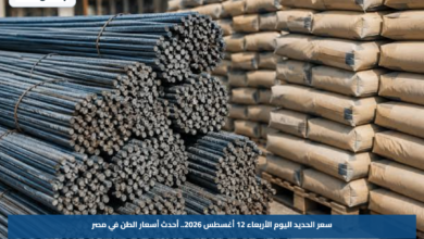 سعر الحديد اليوم الأربعاء 12 أغسطس 2026.. أحدث أسعار الطن في مصر