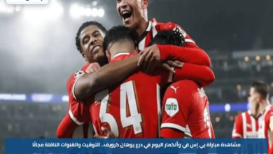 مشاهدة مباراة بي إس في وألكمار اليوم في درع يوهان كرويف.. التوقيت والقنوات الناقلة مجانًا