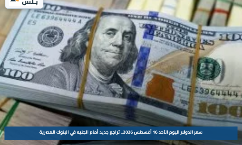 سعر الدولار اليوم الأحد 16 أغسطس 2026.. تراجع جديد أمام الجنيه في البنوك المصرية