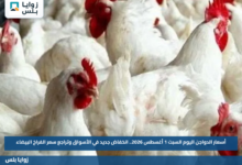 أسعار الدواجن اليوم السبت 1 أغسطس 2026.. انخفاض جديد في الأسواق وتراجع سعر الفراخ البيضاء