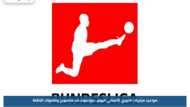 مواعيد مباريات الدوري الألماني اليوم.. دورتموند ضد هامبورج والقنوات الناقلة