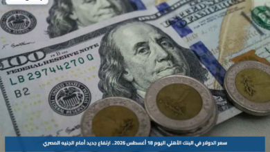 سعر الدولار في البنك الأهلي اليوم 18 أغسطس 2026.. ارتفاع جديد أمام الجنيه المصري