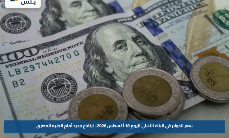 سعر الدولار في البنك الأهلي اليوم 18 أغسطس 2026.. ارتفاع جديد أمام الجنيه المصري