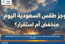 طقس السعودية اليوم.. أمطار رعدية وسيول في الجنوب وارتفاع شديد للحرارة بالمناطق الشمالية والوسطى
