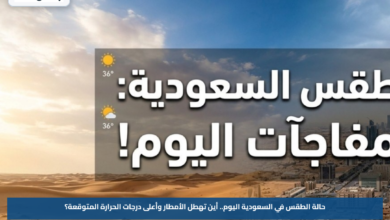 حالة الطقس في السعودية اليوم.. أين تهطل الأمطار وأعلى درجات الحرارة المتوقعة؟