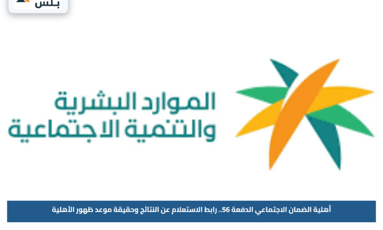 أهلية الضمان الاجتماعي الدفعة 56.. رابط الاستعلام عن النتائج وحقيقة موعد ظهور الأهلية