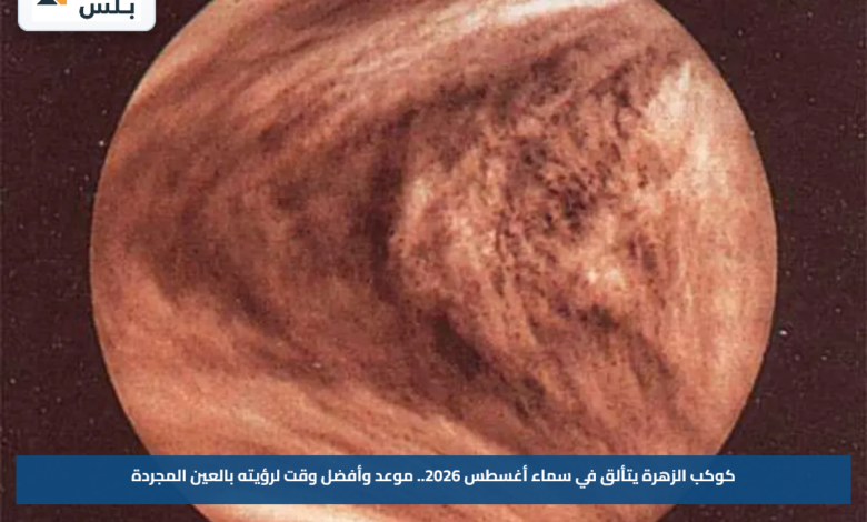 كوكب الزهرة يتألق في سماء أغسطس 2026.. موعد وأفضل وقت لرؤيته بالعين المجردة