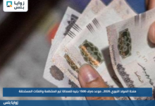 منحة المولد النبوي 2026.. موعد صرف 1500 جنيه للعمالة غير المنتظمة والفئات المستحقة