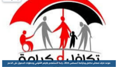 موعد صرف معاش تكافل وكرامة أغسطس 2026.. رابط الاستعلام بالرقم القومي وخطوات الحصول على الدعم