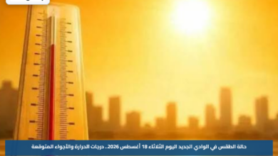 حالة الطقس في الوادي الجديد اليوم الثلاثاء 18 أغسطس 2026.. درجات الحرارة والأجواء المتوقعة