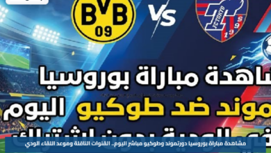 مشاهدة مباراة بوروسيا دورتموند وطوكيو مباشر اليوم.. القنوات الناقلة وموعد اللقاء الودي
