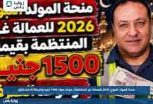 منحة المولد النبوي 2026 للعمالة غير المنتظمة.. موعد صرف 1500 جنيه وطريقة الاستحقاق