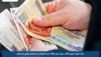 منحة المولد النبوي 2026.. موعد صرف 1500 جنيه للعمالة غير المنتظمة وطرق الاستعلام