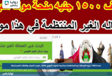 منحة 1500 جنيه للعمالة غير المنتظمة بمناسبة المولد النبوي 2026.. موعد الصرف والفئات المستحقة