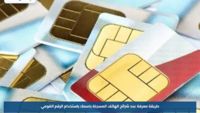 طريقة معرفة عدد شرائح الهاتف المسجلة باسمك باستخدام الرقم القومي