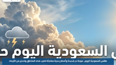 طقس السعودية اليوم.. موجة حر شديدة وأمطار رعدية مفاجئة تضرب هذه المناطق وتحذير من الأرصاد