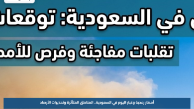 أمطار رعدية وغبار اليوم في السعودية.. المناطق المتأثرة وتحذيرات الأرصاد