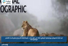 تردد قناة ناشيونال جيوغرافيك أبوظبي 2026 على نايل سات.. اضبط القناة الآن واستمتع بأحدث الأفلام الوثائقية HD