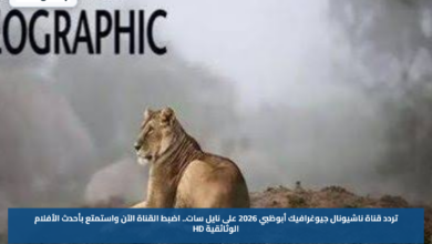 تردد قناة ناشيونال جيوغرافيك أبوظبي 2026 على نايل سات.. اضبط القناة الآن واستمتع بأحدث الأفلام الوثائقية HD