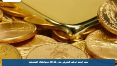 سعر الجنيه الذهب اليوم في مصر.. 50560 جنيهًا بختام التعاملات