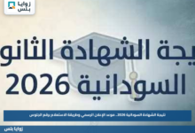 نتيجة الشهادة السودانية 2026.. موعد الإعلان الرسمي وطريقة الاستعلام برقم الجلوس