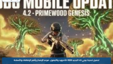 تحميل تحديث ببجي 4.6 الجديد 2026 للأندرويد والآيفون.. موعد الإصدار وأهم الإضافات والأسلحة