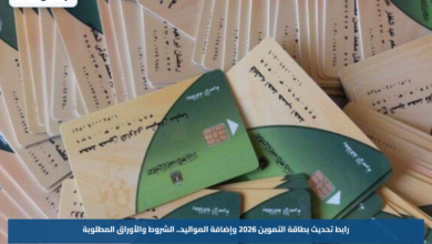 رابط تحديث بطاقة التموين 2026 وإضافة المواليد.. الشروط والأوراق المطلوبة