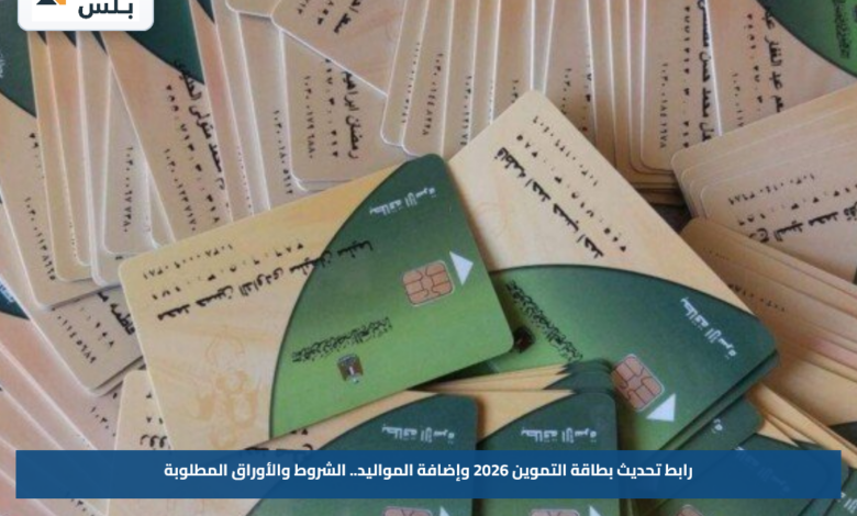 رابط تحديث بطاقة التموين 2026 وإضافة المواليد.. الشروط والأوراق المطلوبة