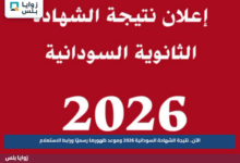 الآن.. نتيجة الشهادة السودانية 2026 وموعد ظهورها رسميًا ورابط الاستعلام