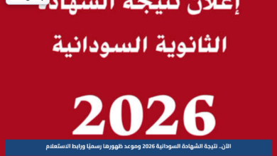 الآن.. نتيجة الشهادة السودانية 2026 وموعد ظهورها رسميًا ورابط الاستعلام
