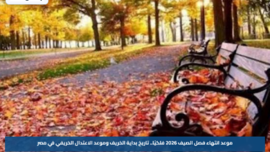 موعد انتهاء فصل الصيف 2026 فلكيًا.. تاريخ بداية الخريف وموعد الاعتدال الخريفي في مصر