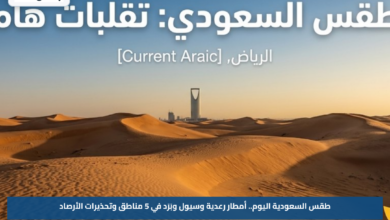 طقس السعودية اليوم.. أمطار رعدية وسيول وبَرَد في 5 مناطق وتحذيرات الأرصاد