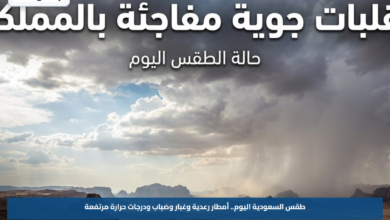طقس السعودية اليوم.. أمطار رعدية وغبار وضباب ودرجات حرارة مرتفعة