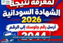 رابط نتيجة الشهادة السودانية 2026 برقم الجلوس.. استعلم عن النتيجة الآن