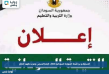 الاستعلام عن نتيجة الشهادة السودانية 2026.. الرابط الرسمي وموعد ظهور النتائج