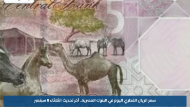سعر الريال القطري اليوم في البنوك المصرية.. آخر تحديث الثلاثاء 8 سبتمبر