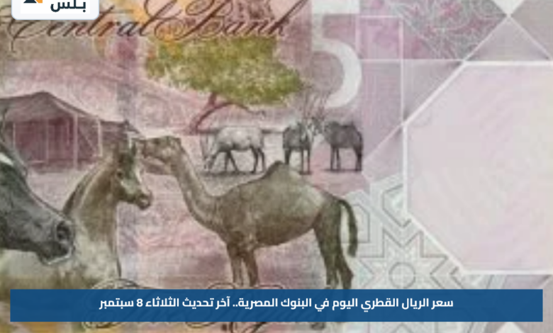 سعر الريال القطري اليوم في البنوك المصرية.. آخر تحديث الثلاثاء 8 سبتمبر