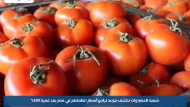 شعبة الخضراوات تكشف موعد تراجع أسعار الطماطم في مصر بعد قفزة 200%