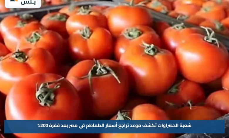 شعبة الخضراوات تكشف موعد تراجع أسعار الطماطم في مصر بعد قفزة 200%
